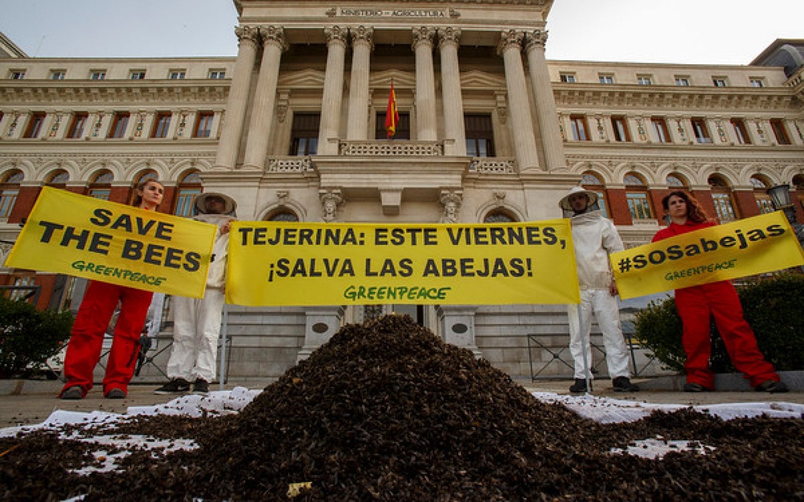 Activistes de Greenpeace amb les abelles mortes llençades davant del Ministeri d'Agricultura espanyol | Greenpeace