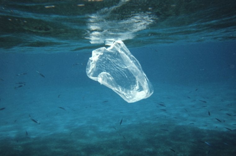 Bossa de plàstic surant al mar  | Administració Nacional Oceànica i Atmosfèrica