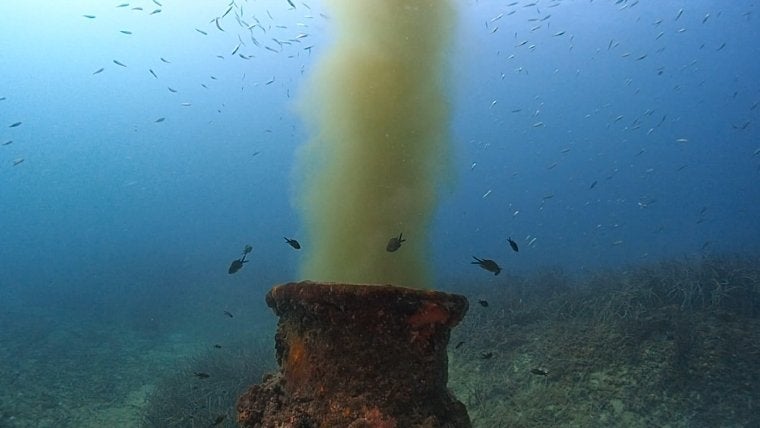 Descàrrega d'aigues fecals a la badia de Palma (Mallorca) | Mallorca Blue