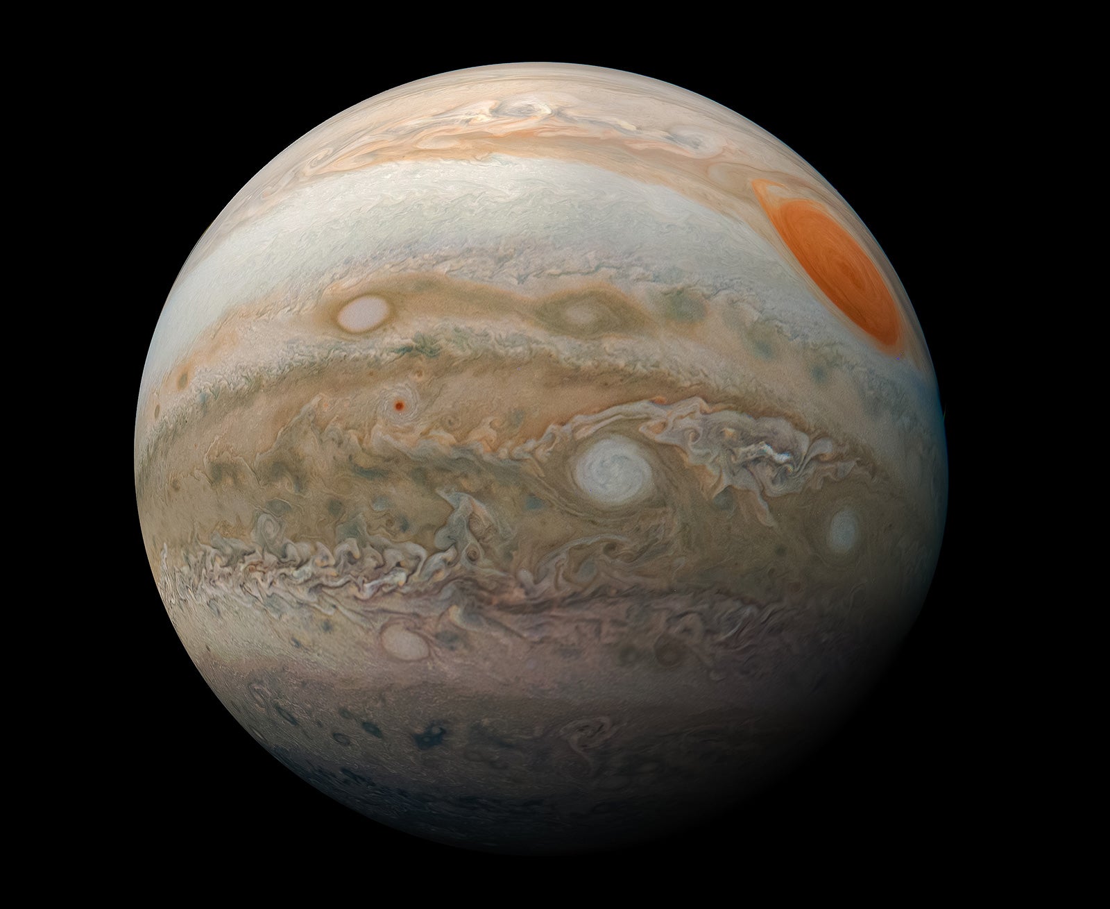 El planeta Júpiter visto por la sonda Juno de la NASA | NASA / JPL - Caltech / SwRI / MSSS / Kevin M. Gill