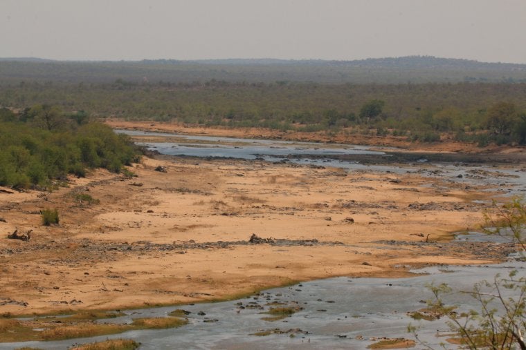 El riu Olifants del Parc Nacional Kruger (Sud-àfrica) durant un episodi de sequera | Fabien Rouire (CC)
