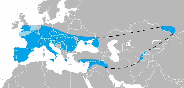 Extensió aproximada de l'Homo sapiens neanderthalensis | Wikimedia Commons