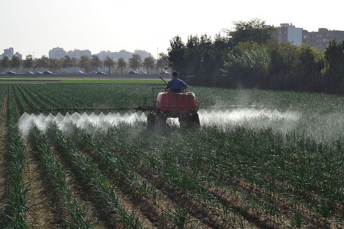 Fumigación en un campo de cebollas en Alboraya (València) | Joanbanjo (CC)