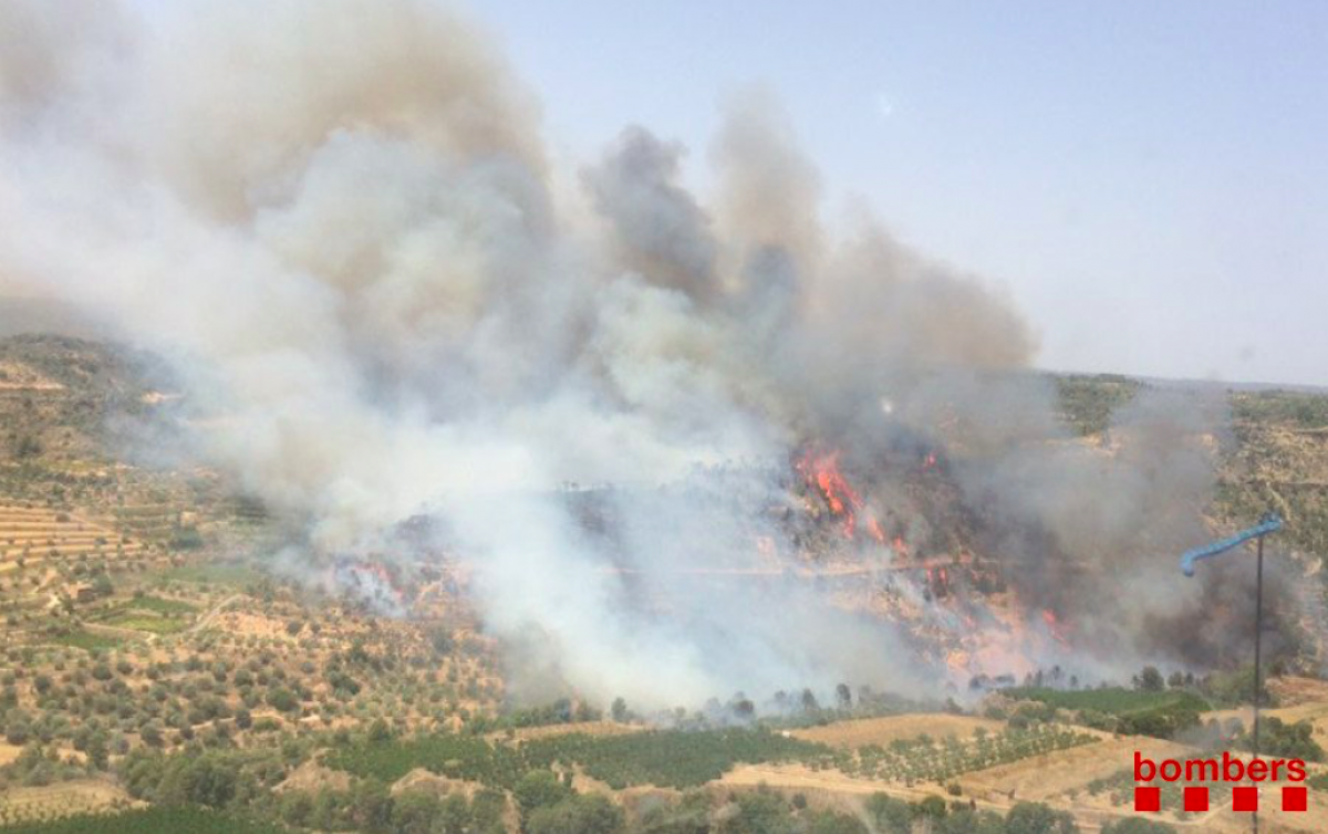 Incendi forestal entre la Torre de l'Espanyol i Vinebre | Bombers de la Generalitat