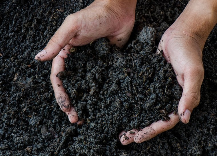 El reciclatge de cossos humans en compostatge serà, d'aquí a ben poc, una opció legal a l'estat de Washington | IRTA