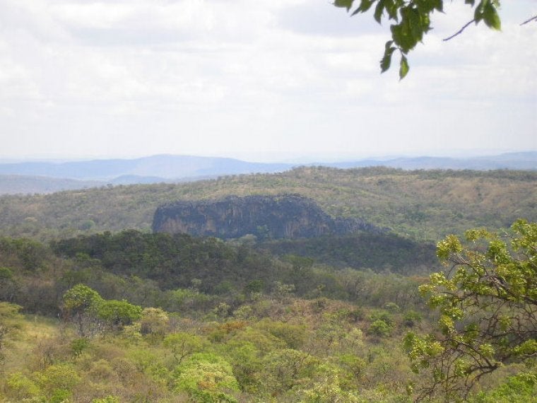 La sabana de Cerrado a Minas Gerais (Brasil) | Denis A. C. Conrado (CC)
