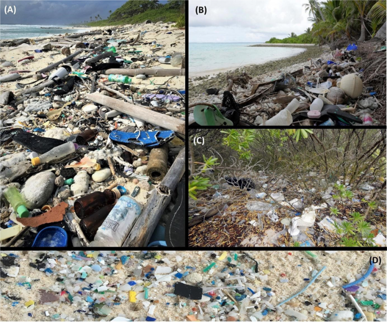 Plàstics a les illes Cocos | Scientific Reports