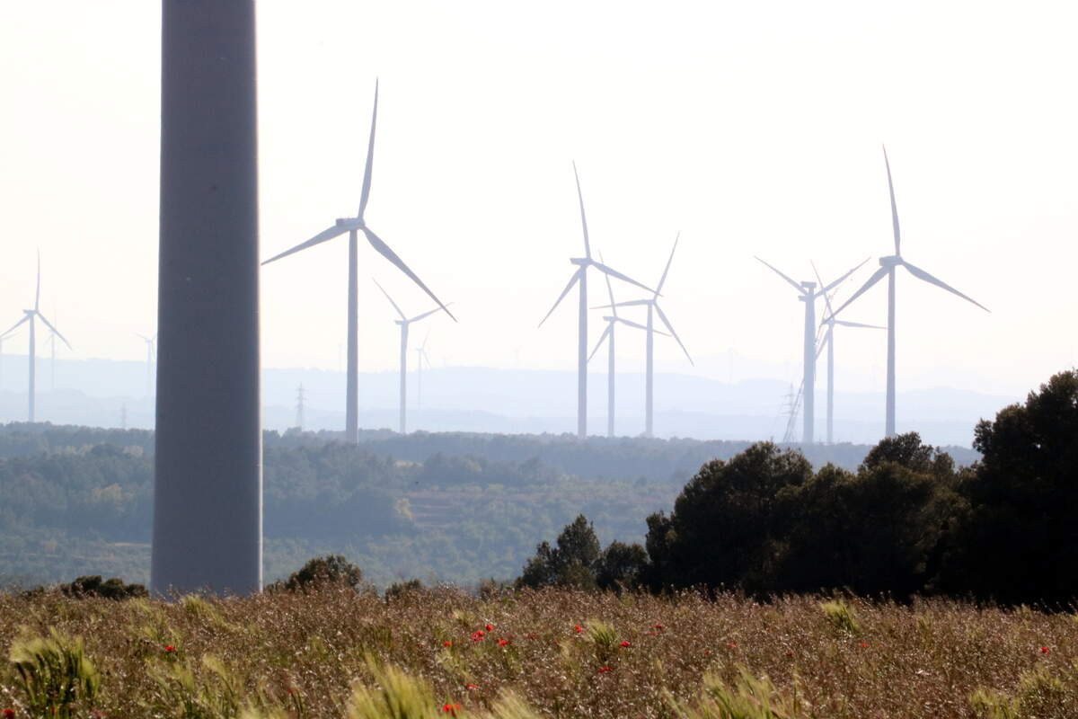 Turbines eòliques a la Terra Alta | ACN