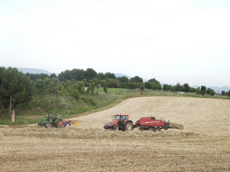 Tractors treballant a un camp de conreu | Marta Maseras