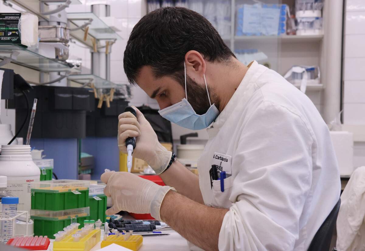 Un investigador treballant amb mascareta  | ACN