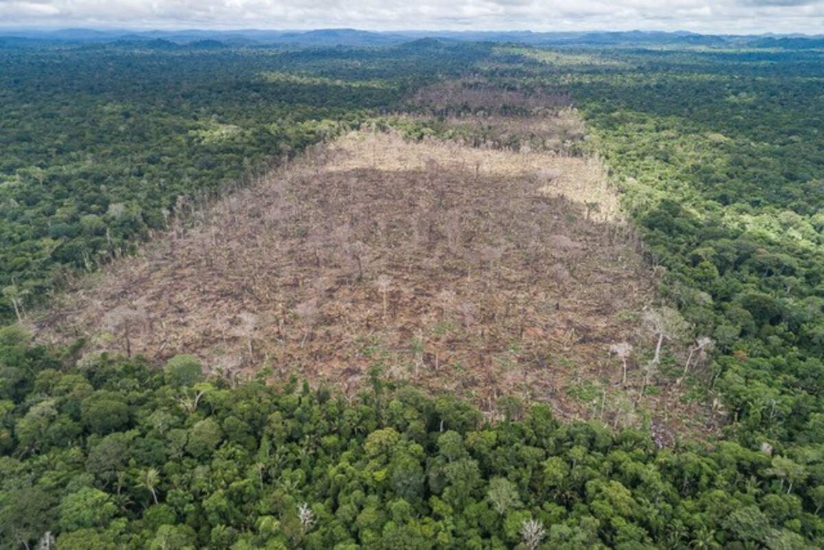 Zona deforestada a la Amazonas | André Dib