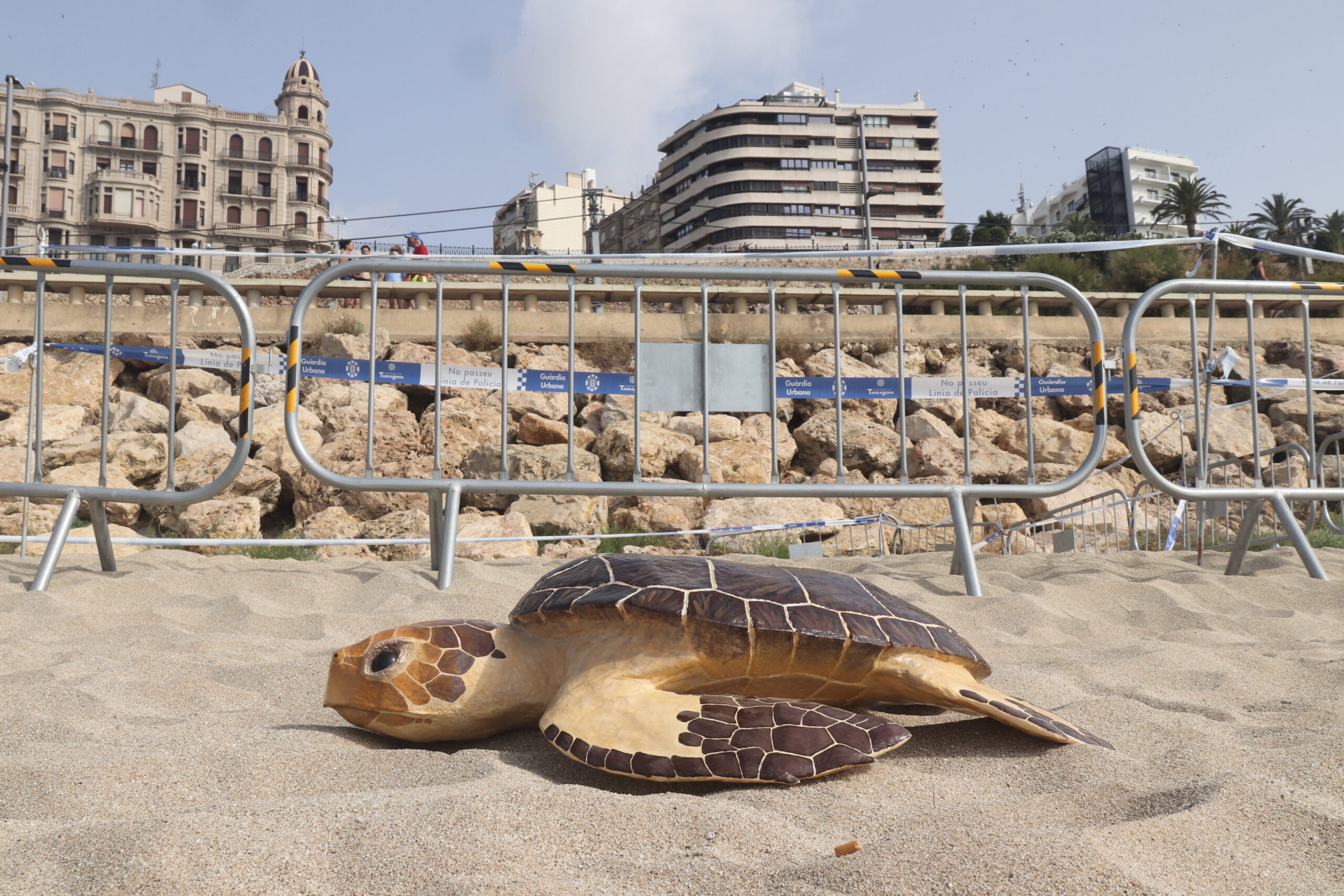 Una rèplica de tortuga babaua situada davant de l'espai on hi ha una posta d'ous, a la platja del Miracle de Tarragona | ACN