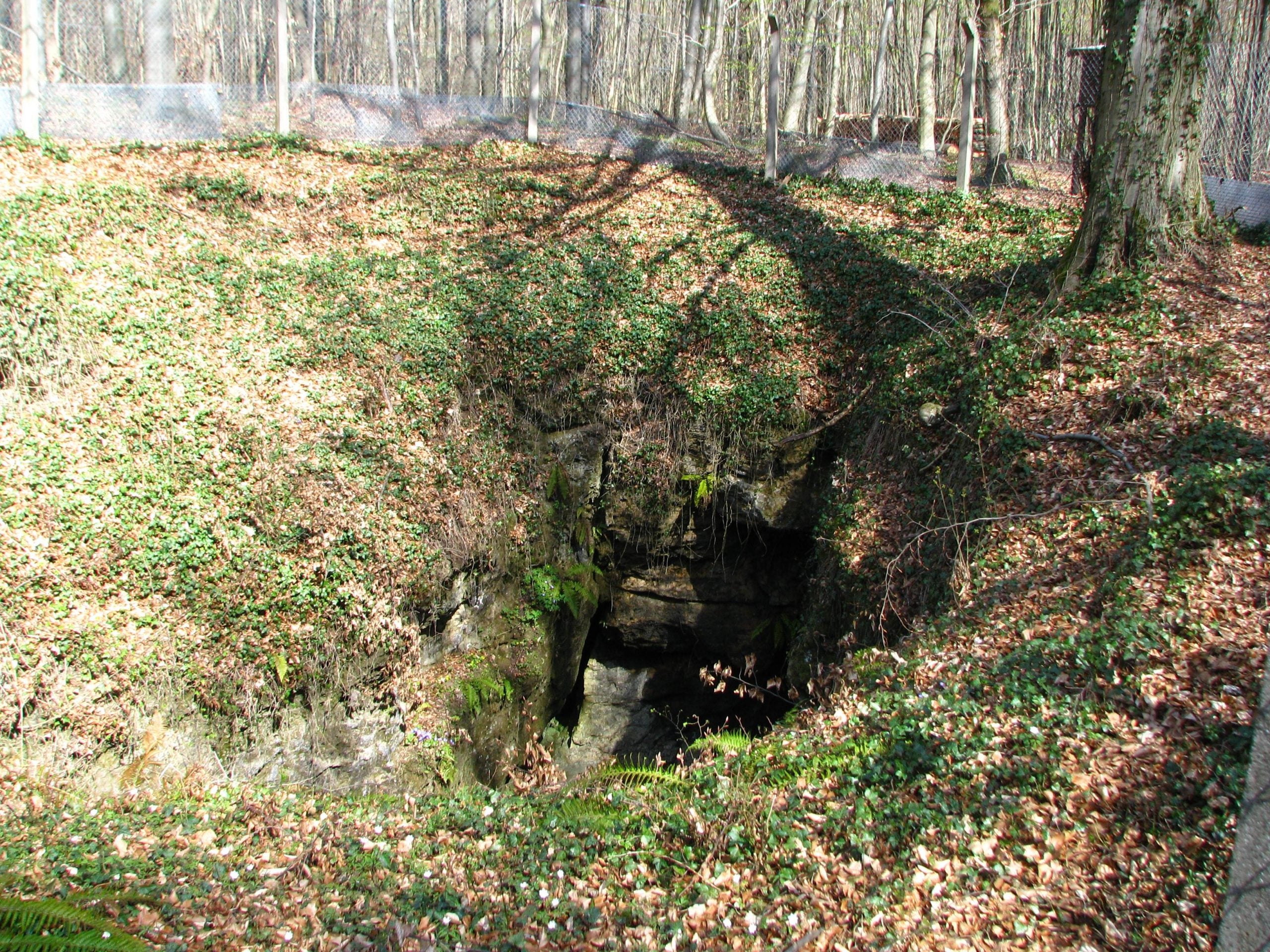 La cova de l'Unicorn, a Alemanya, va ser habitada per neandertals durant moltíssim temps | Wikimedia Commons