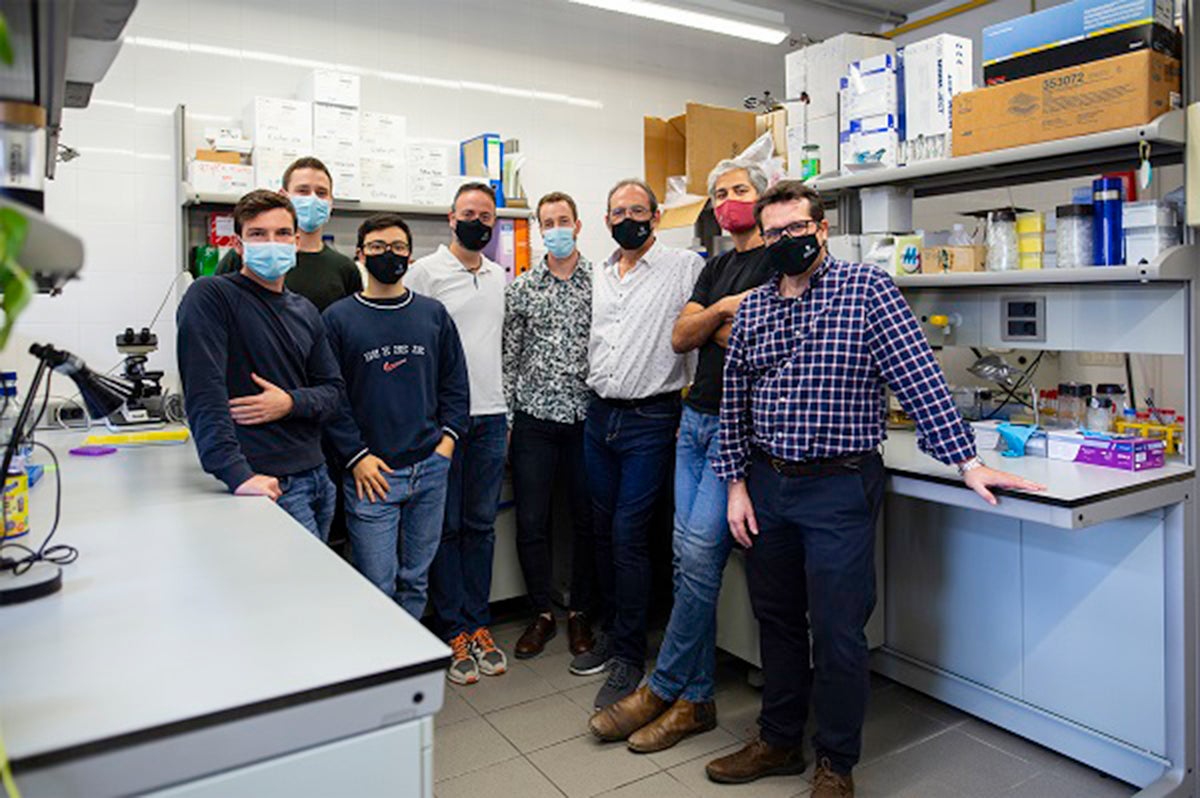 L'equip de recerca de la UB que ha aconseguit la portada de 'Nature' | Universitat de Barcelona