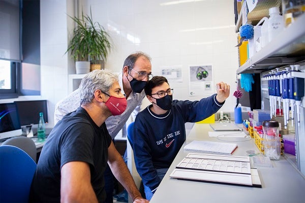 Alguns membres de l'equip d'Evo-Devo de la UB treballant | Universitat de Barcelona