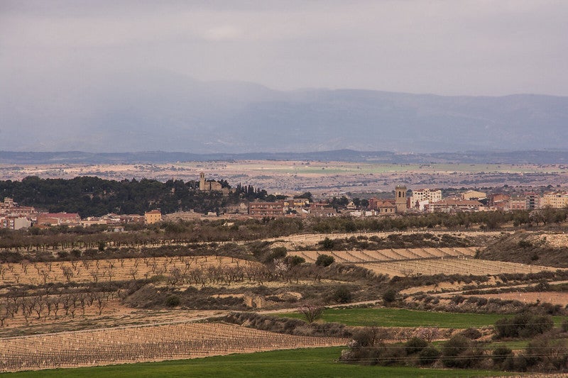 Hàbitat estepari | Ramon Oromí / Flickr