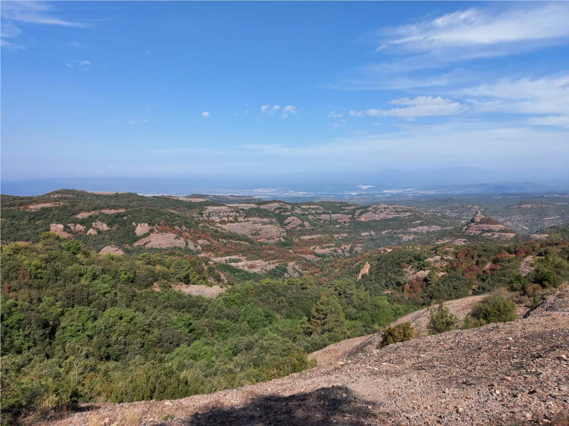 Afectació per sequera al Bages | CREAF