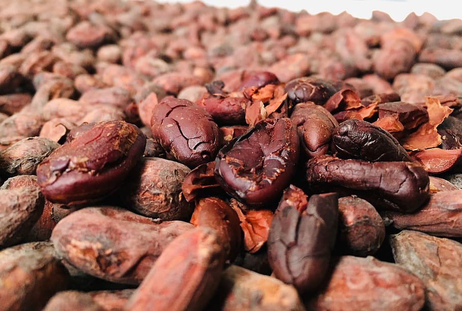 El cacao es el principal cultivo y el principal medio de vida de muchísimas personas en estos dos países | Pxfuel