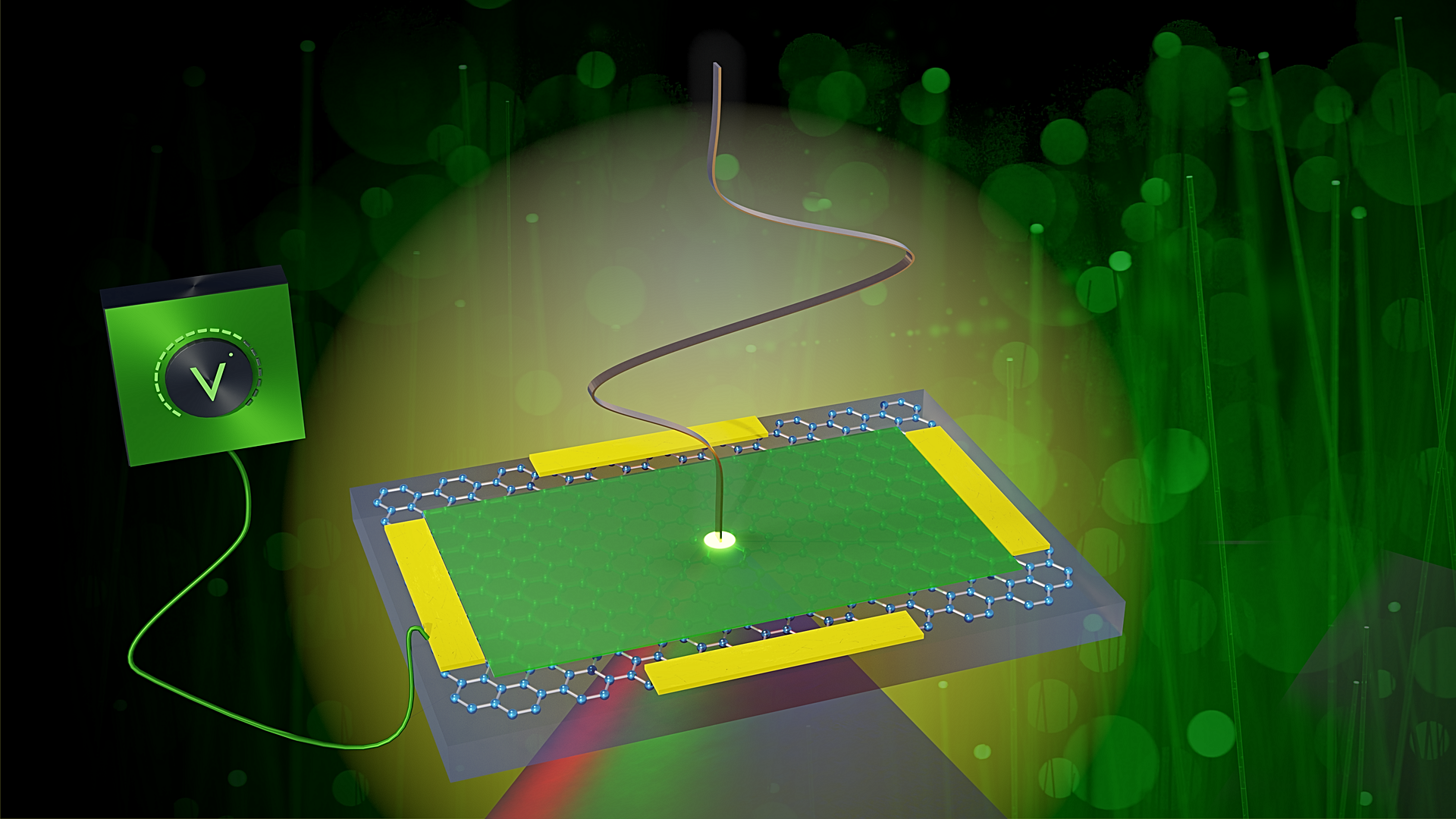 Un material basat en el grafè converteix polsos de terahertzs en llum visible d'una manera ultraràpida i controlable, perfecta per al transport de dades en fibra òptica | B. Schröder / HZDR