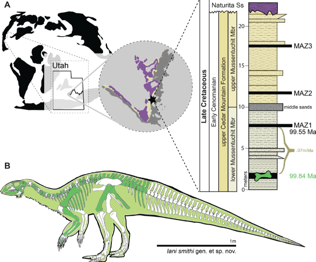 Este dinosaurio permitirá conocer mejor como era la Norteamérica de hace 100 millones de años y los animales que vivían | Zanno et al. / PLOS ONE