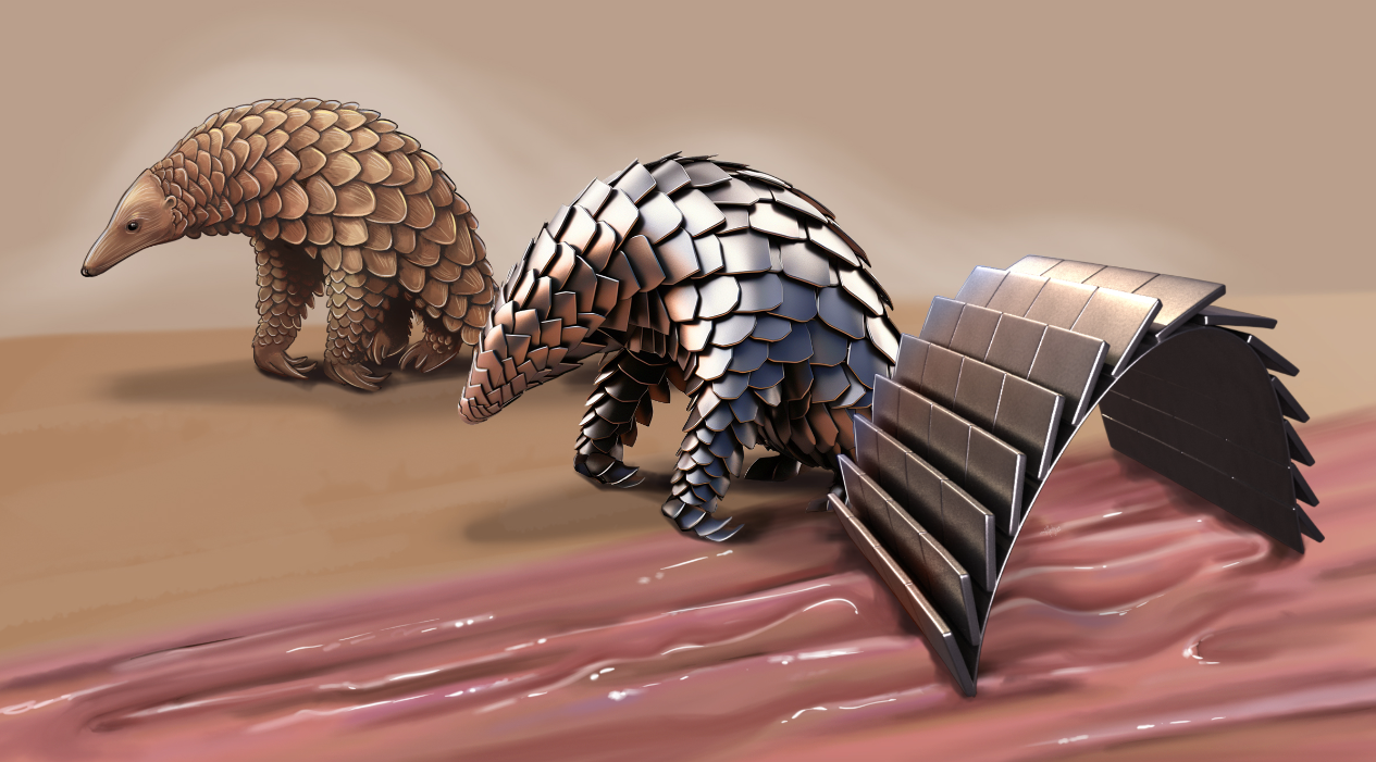 A partir del pangolí, els enginyers han dissenyat un robot que té comparteix alguns dels seus trets distintius | Max Planck Institute for Intelligent Systems