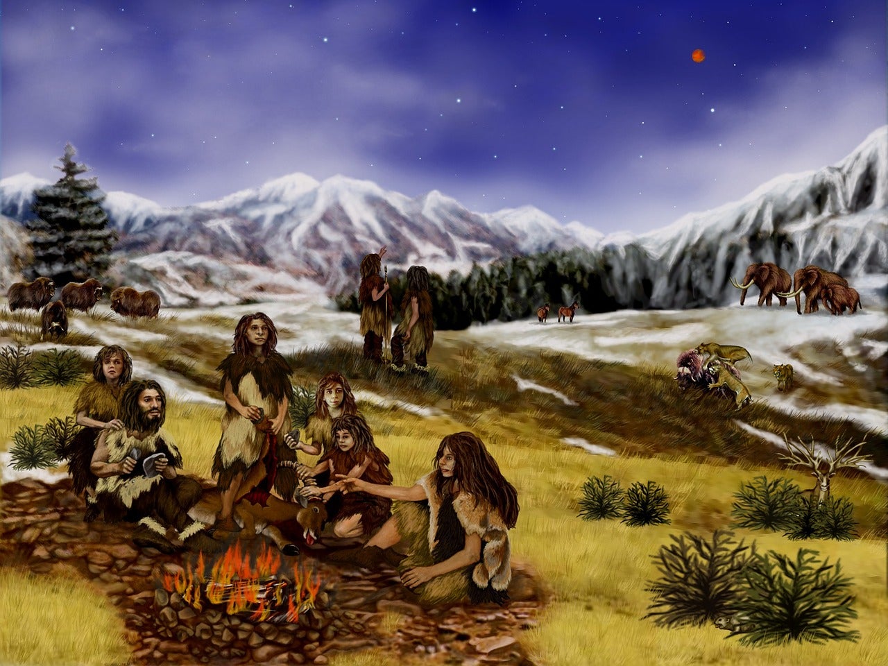 Els neandertals van descobrir i perfeccionar un mètode per produir cola mentre que els humans moderns van trigar 100.000 anys més a fer res remotament semblant | Pixabay