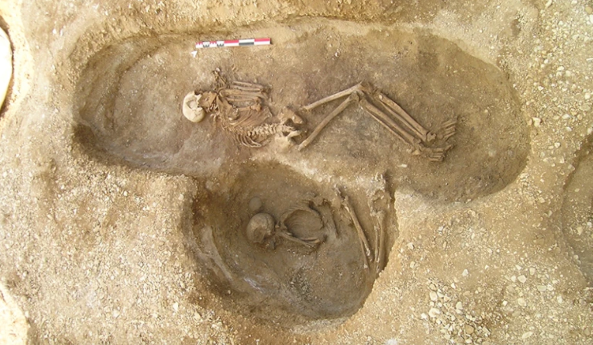 Dues de les més de 120 tombes que han permès elaborar l'arbre genealògic enorme d'una família de fa 6.500 anys | Universitat de Burdeus