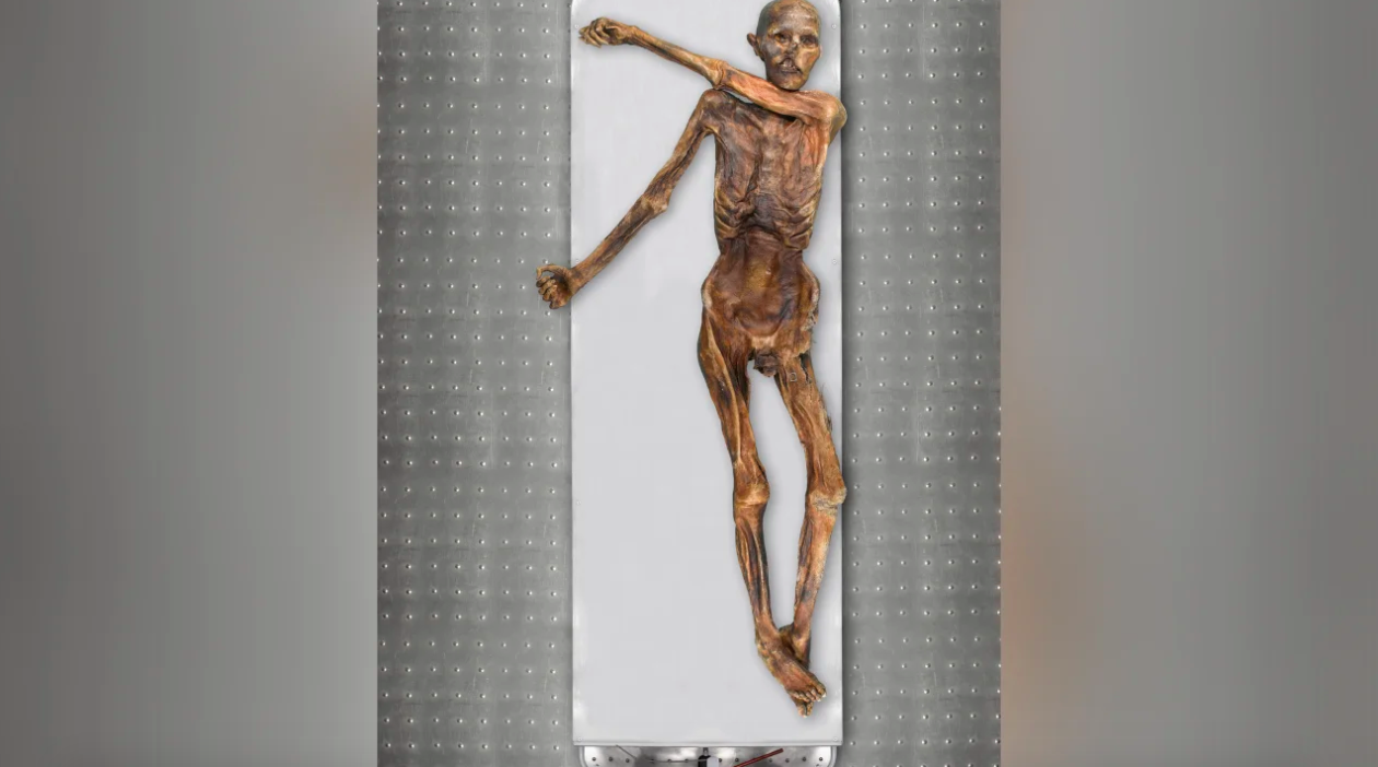 El estado de preservación de Ötzi ha permitido aprender muchísimas cosas de los primeros agricultores europeos | Museo de Arqueología del Tirol del Sur