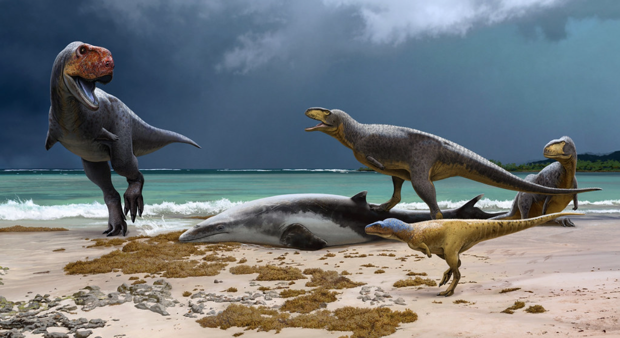 Reproducció artística dels dos nous carnívors descoberts i d'alguns altres animals que vivien al Marroc de fa 66 milions d'anys | Andrey Atuchin
