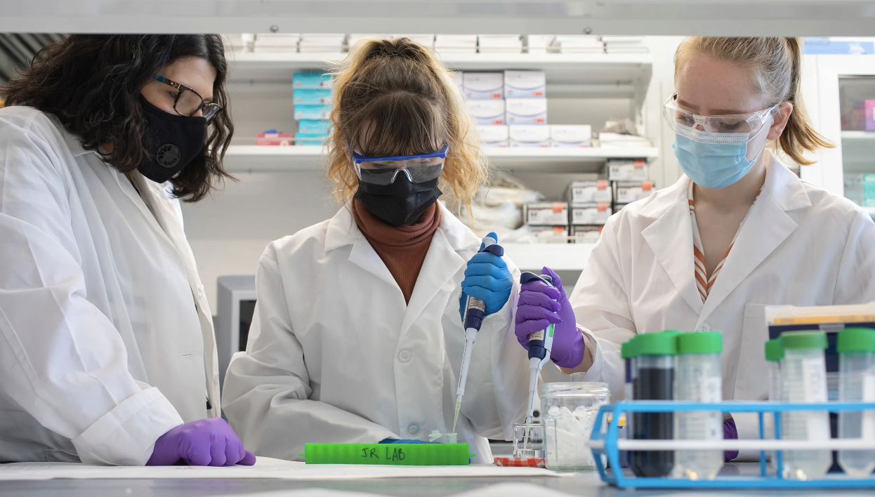 Els investigadors han analitzat a fons els efectes dels microplàstics en el comportament dels ratolins i com es propaguen pel seu organisme | Universitat de Rhode Island