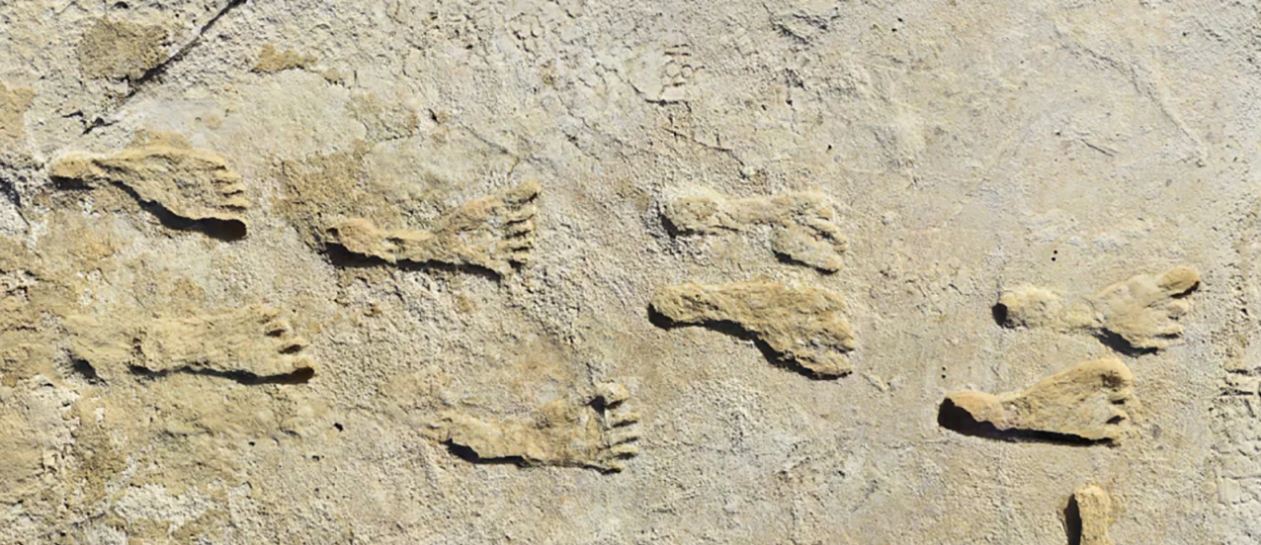 Las huellas han sido examinadas y analizadas de varias maneras y todas apuntan que tienen más de 20.000 años de antigüedad | National Park Service