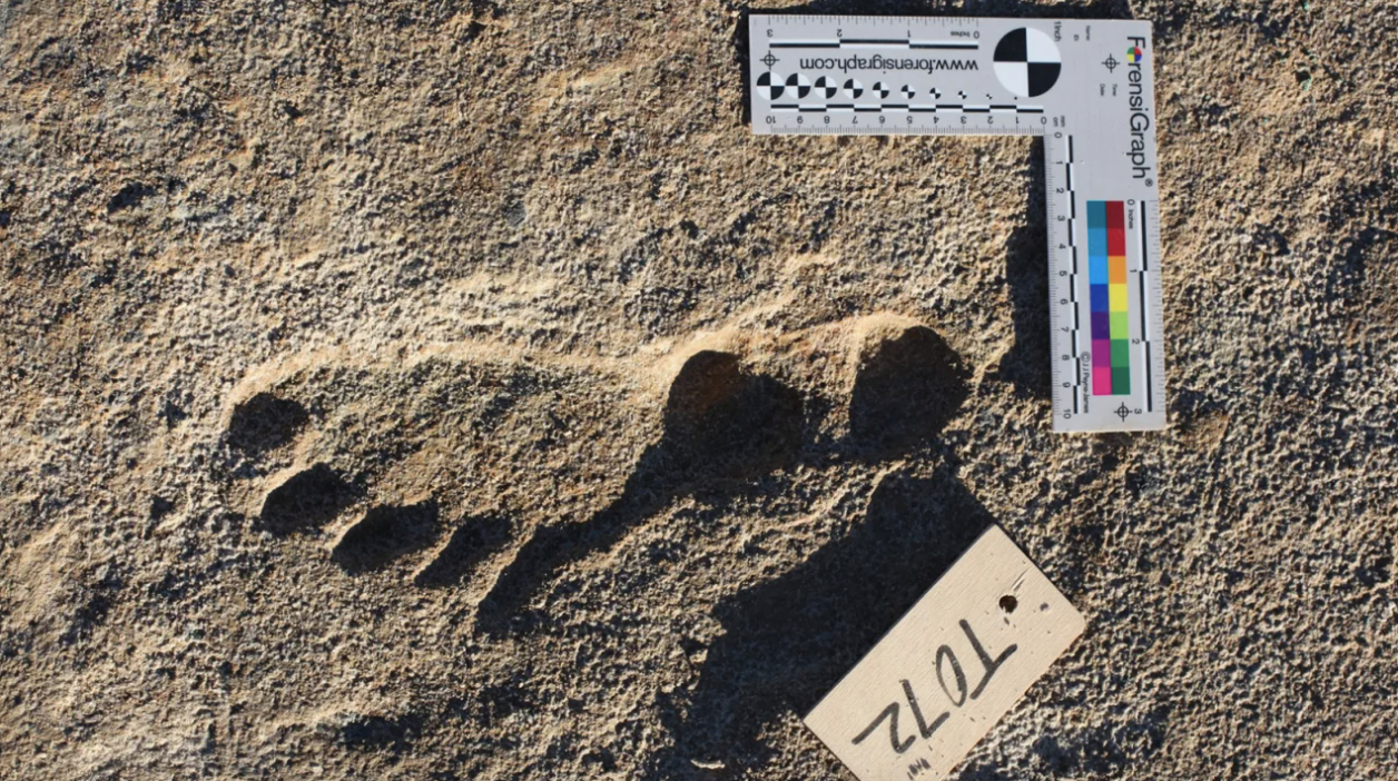 Aquesta petjada va ser deixada per, probablement, un dels primers pobladors human d'Amèrica | National Park Service