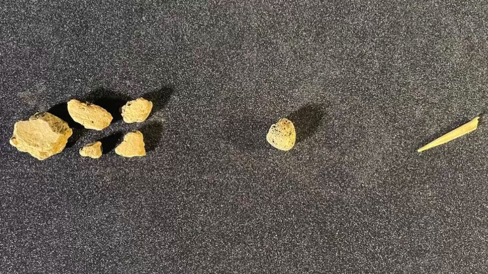 Les excavacions han permès trobar algunes peces de pedra i d'os, a més dels esquelets | Universitat de Cardiff