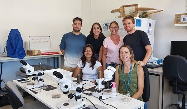 Los investigadores del Grupo de Investigación en Geociencias Marines  Oriol Uviedo, Arantxa Estrada, Montse Guart, Liam de Haan (derechos) y Carla Martínez i Anna Sanchez-Vidal (sentadas) | Universitat de Barcelona