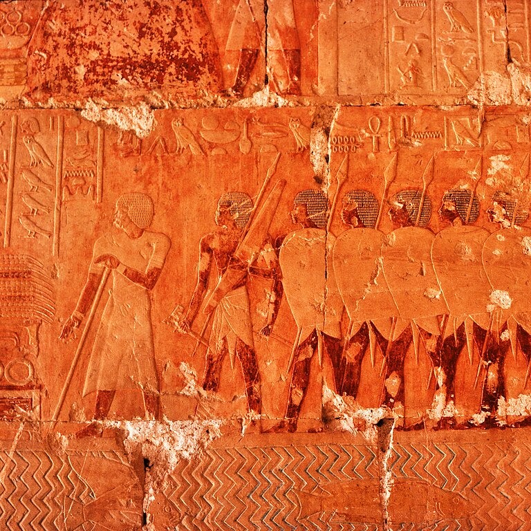 Expedició a Punt reproduïda al temple mortuori de Hatshepsut