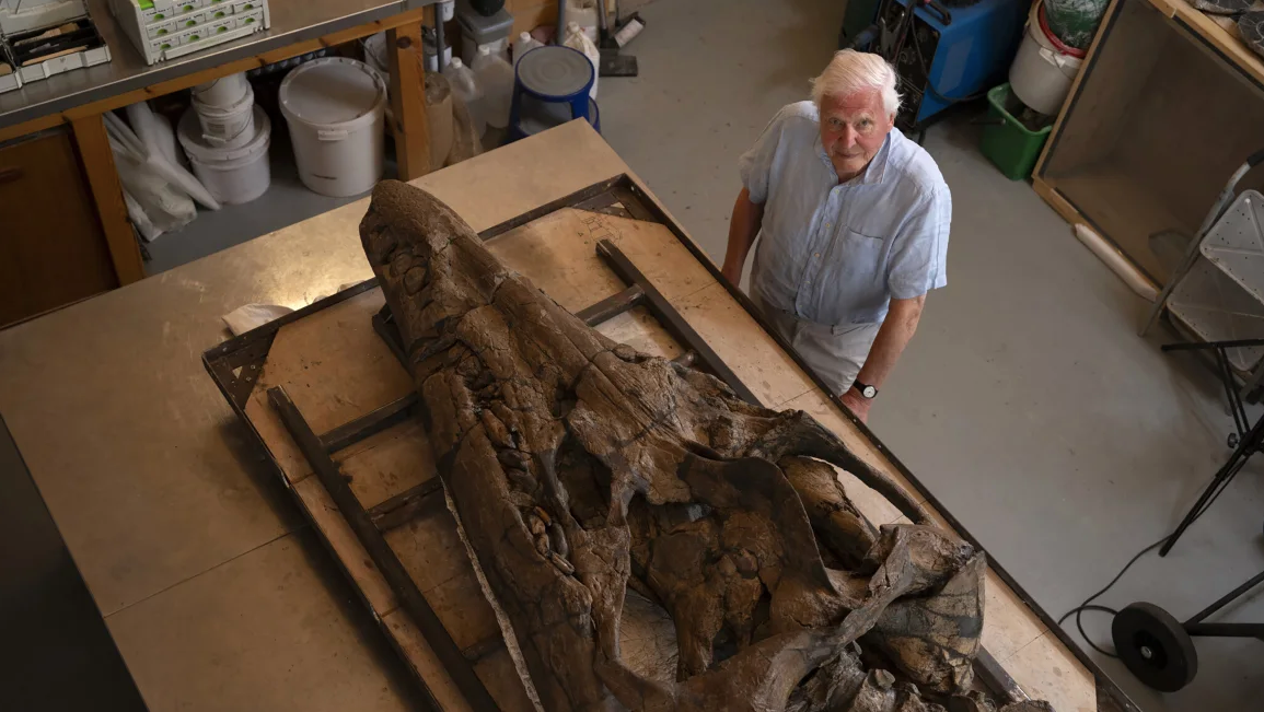 Sir David Attenborough con el enorme cráneo de ictiosaurio descubierto y que protagoniza su último documental | BBC Studios