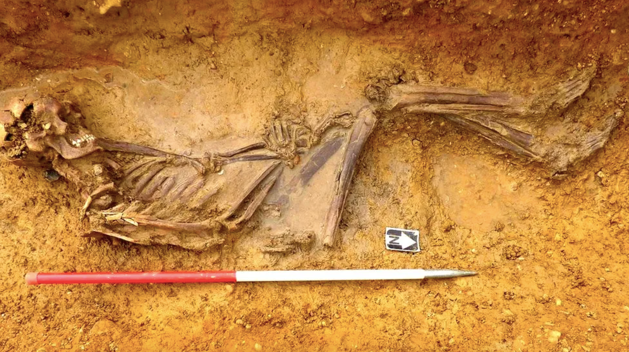 Aquest esquelet de fa 2.000 anys trobat a Anglaterra pertany a un membre d'un poble de les estepes del Càucas i el sud de Rússia| Mola Headland Infrastructure