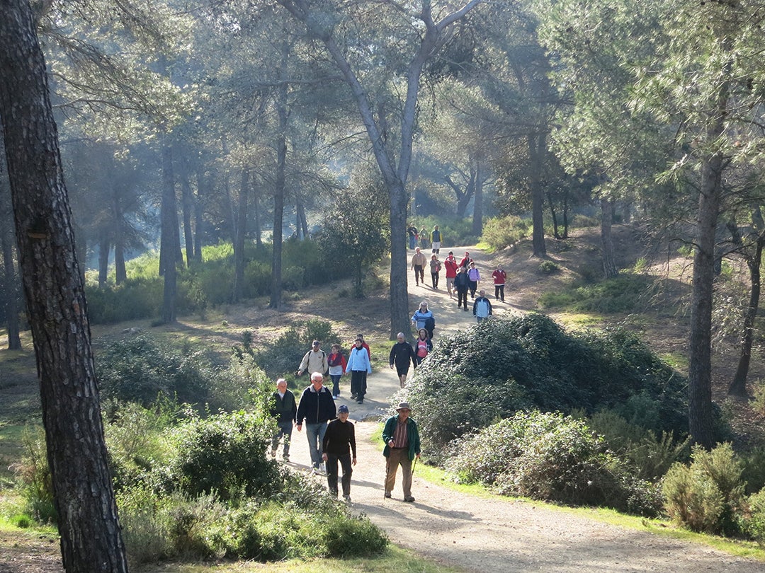 Gent passejant pels boscos de Barcelona | Ajuntament de Barcelona