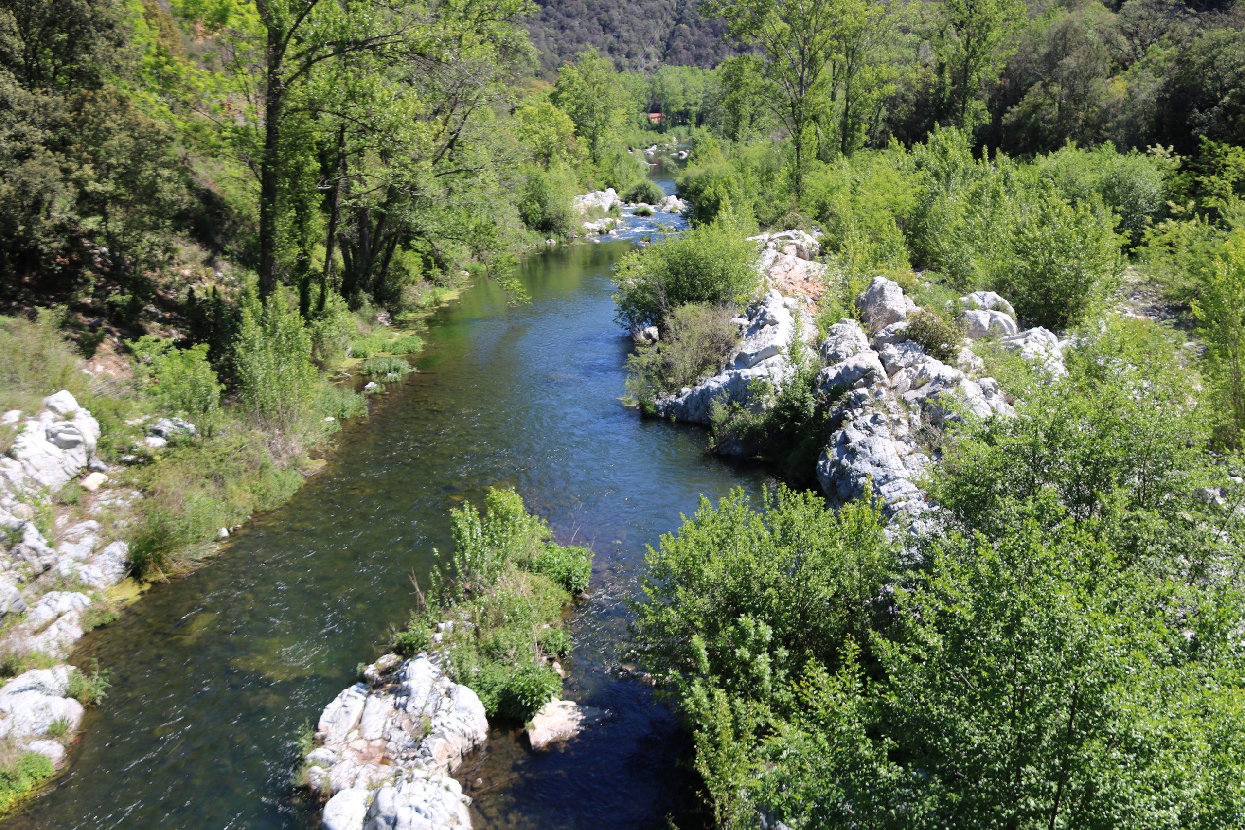El riu Ter al seu pas per Susqueda | Gerard Vilà (ACN)