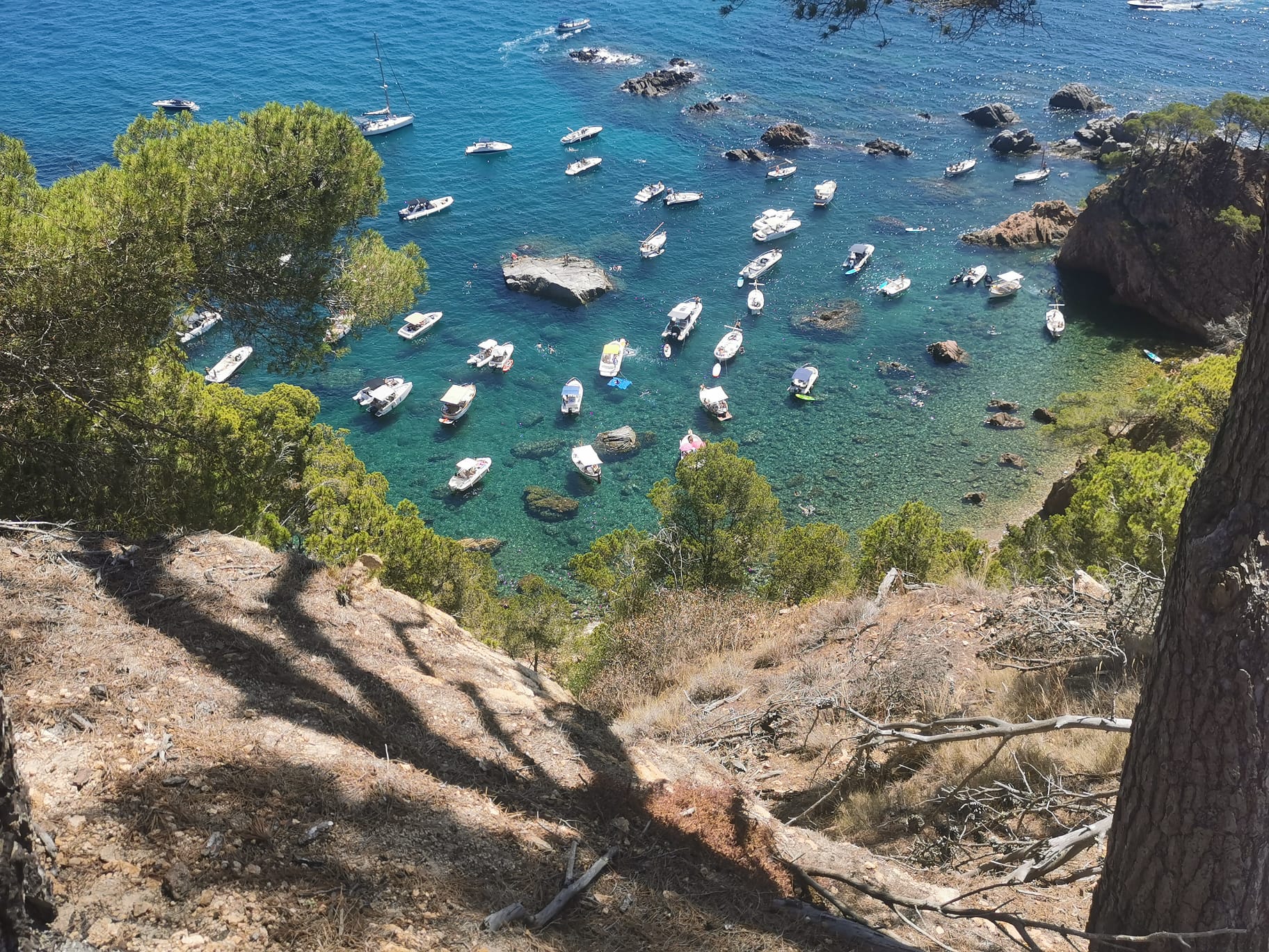 Una imatge de la masificació d'embarcacions de nàutica recreativa a la cala del Vedell, a Mont-Ras. | Cedida SOS Costa Brava