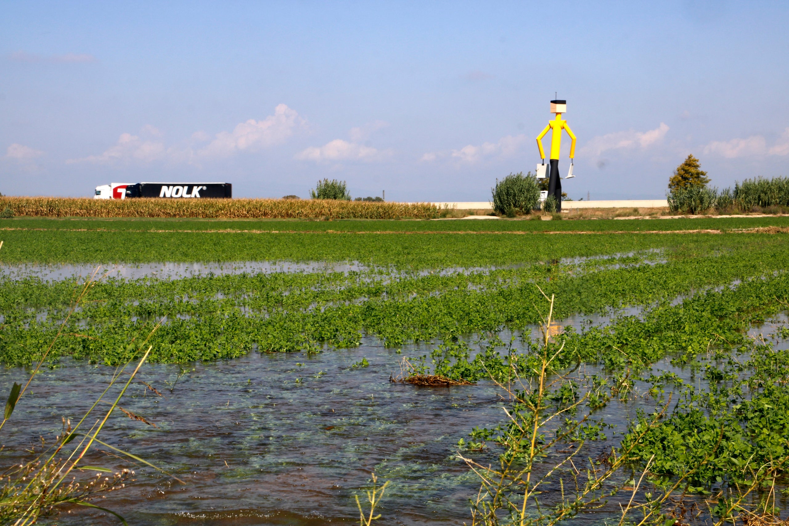Regadiu en una finca d'alfals a Sidamon | Oriol Bosch (ACN)