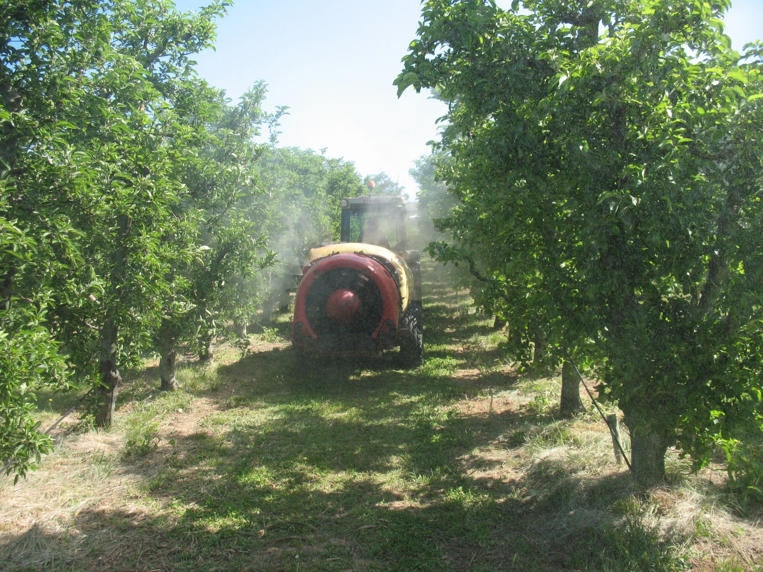 Imagen de un tractor aplicando pesticidas al campo / Europa Press