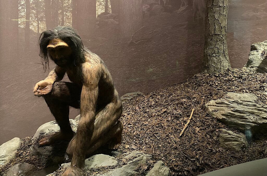 Un diorama de cómo habría sido el Homo erectus | Wikimedia Commons