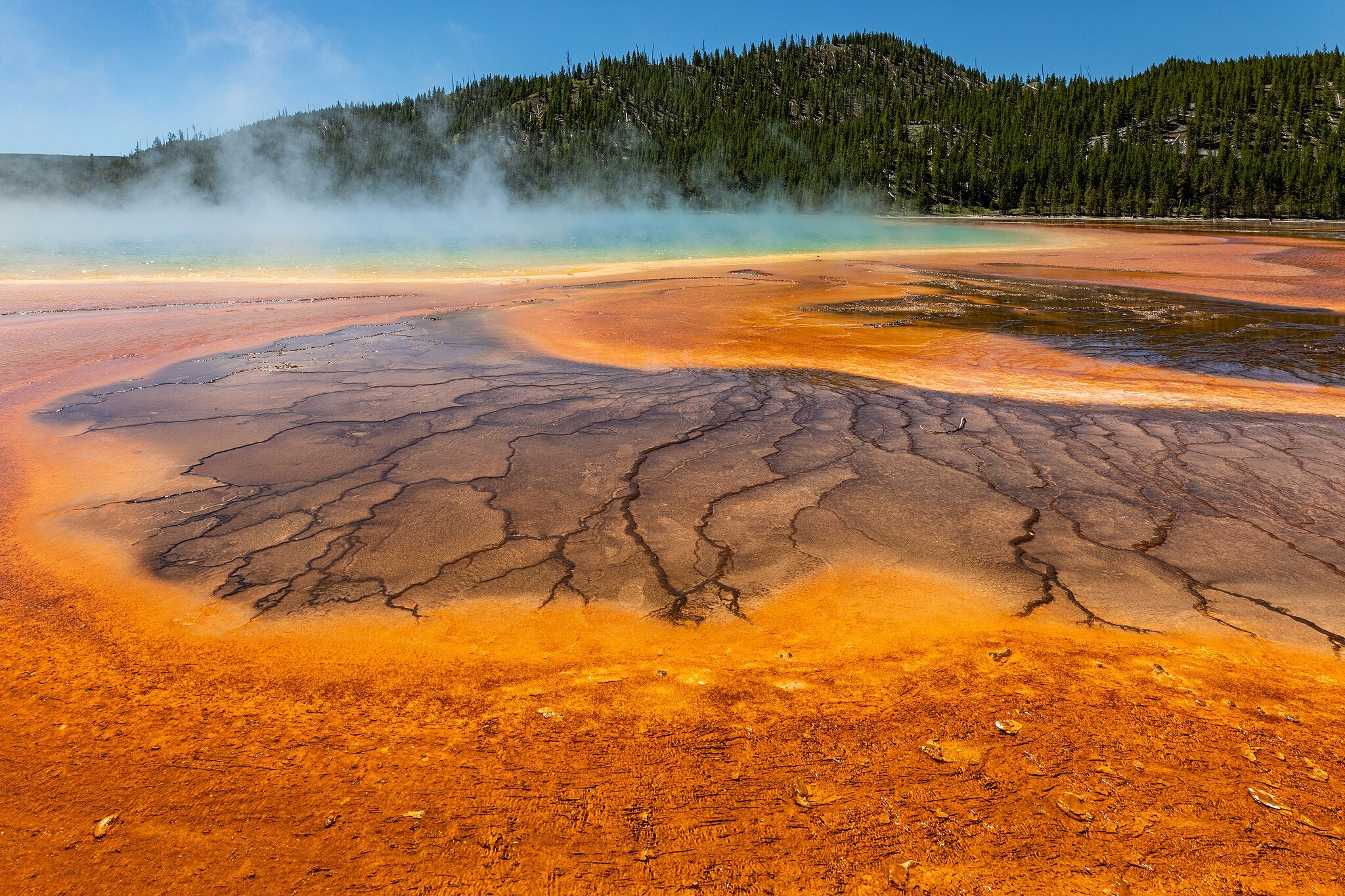 El Parc Nacional de Yellowstone | Dietmar Rabich (Creative Commons Attribution-Share Alike 4.0)