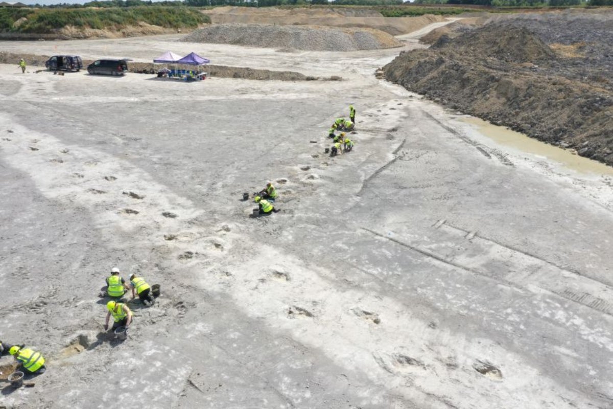 L'autopista de dinosaures trobada a Anglaterra | Universitat d'oxford