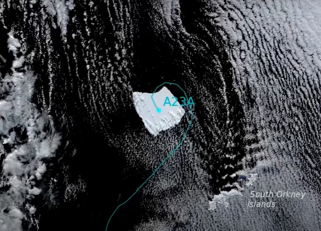 A23a, l'iceberg més gran del món | British Antarctic Survey (BAS)