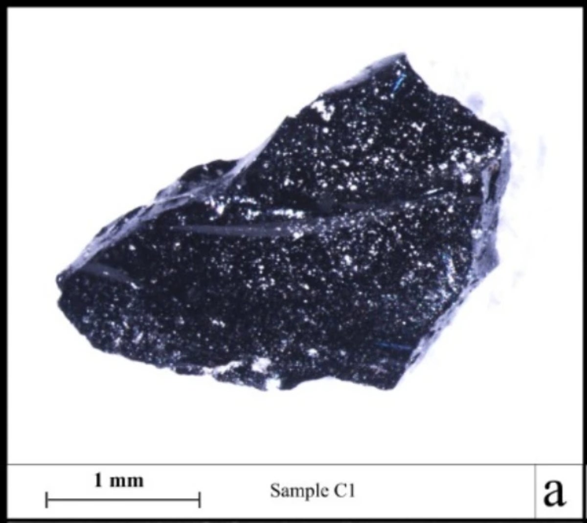 Imatge òptica del cervell sota llum directa | Scientific Reports (Sci Rep) ISSN 2045-2322 (online)