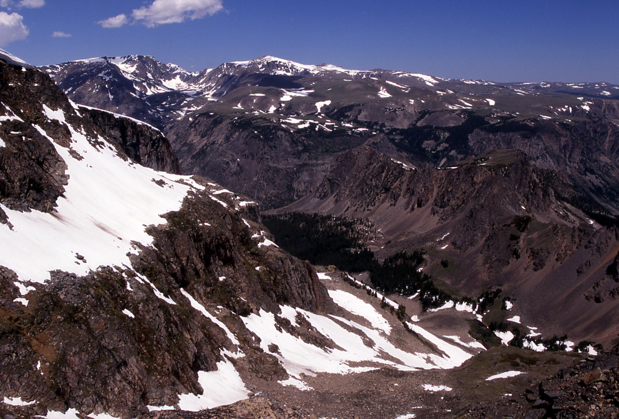 Imatge d'arxiu de les Beartooth Mountains, on s'ha descobert aquest bosc sota el gel | U.S. National Park Service employee (Wikimedia Commons)

