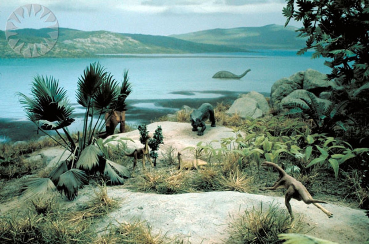 Representació de la vida al Cretaci | Carl Malamud Diorama del Cretaci | Dinosaur Hall, National Museum of Natural History | Alfred F. Harrell (Smithsonian Institution)