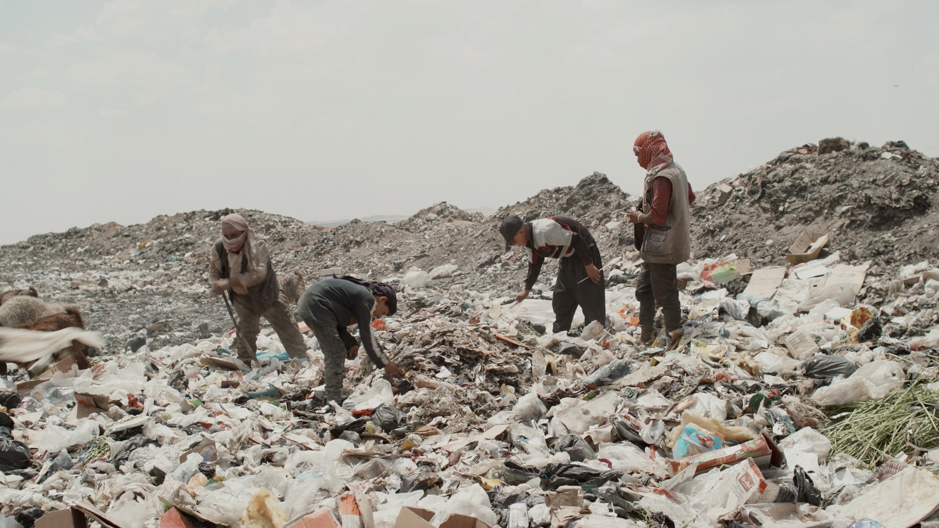 El documental 'Lliures de contaminació' s'estrena aquest dimecres 5 per commemorar el dia mundial del medi ambient | AMB